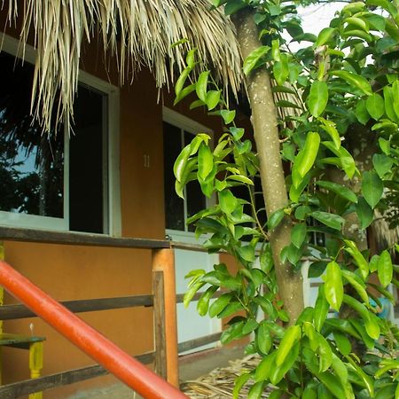 Posada La Huerta Mazunte Exteriör bild